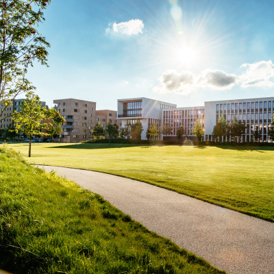 Blick auf das neue Verwaltungsgebaäude aus Richtung Park